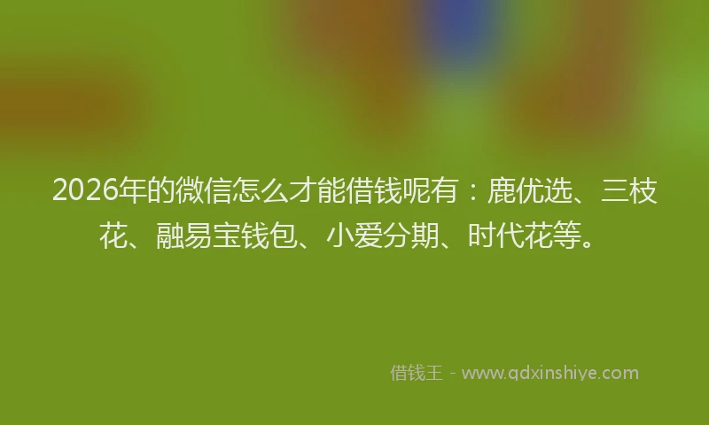 2026年的微信怎么才能借钱呢有：鹿优选、三枝花、融易宝钱包、小爱分期、时代花等。