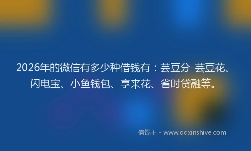 2026年的微信有多少种借钱有：芸豆分-芸豆花、闪电宝、小鱼钱包、享来花、省时贷融等。