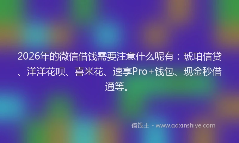 2026年的微信借钱需要注意什么呢有：琥珀信贷、洋洋花呗、喜米花、速享Pro+钱包、现金秒借通等。