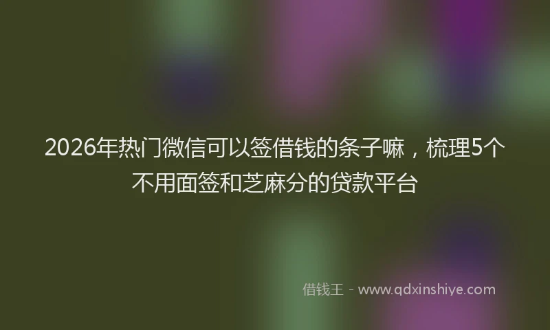 2026年热门微信可以签借钱的条子嘛，梳理5个不用面签和芝麻分的贷款平台