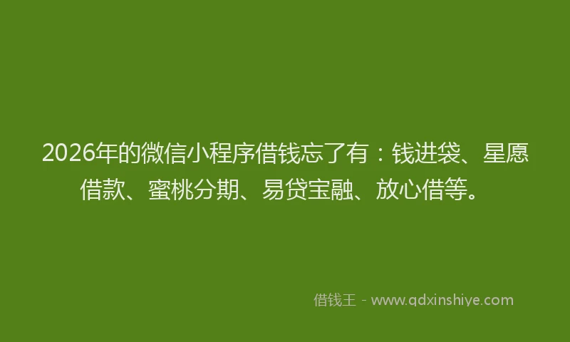 2026年的微信小程序借钱忘了有：钱进袋、星愿借款、蜜桃分期、易贷宝融、放心借等。