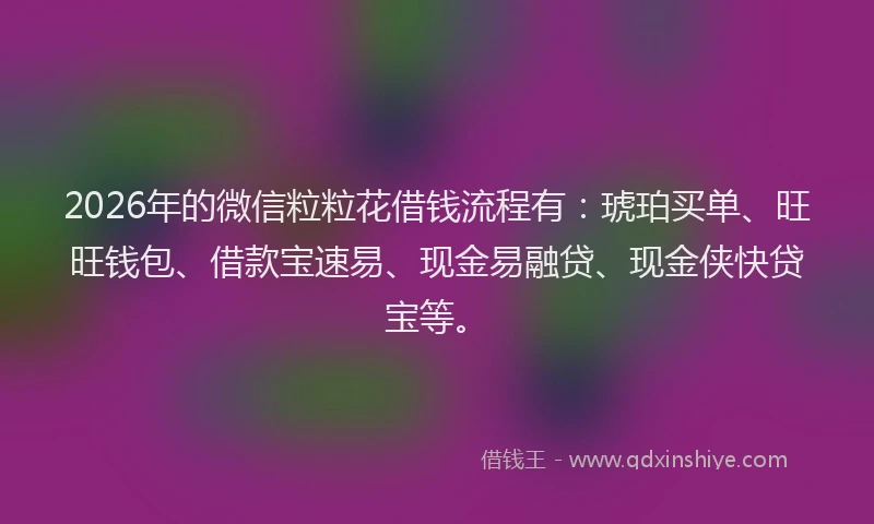 2026年的微信粒粒花借钱流程有：琥珀买单、旺旺钱包、借款宝速易、现金易融贷、现金侠快贷宝等。