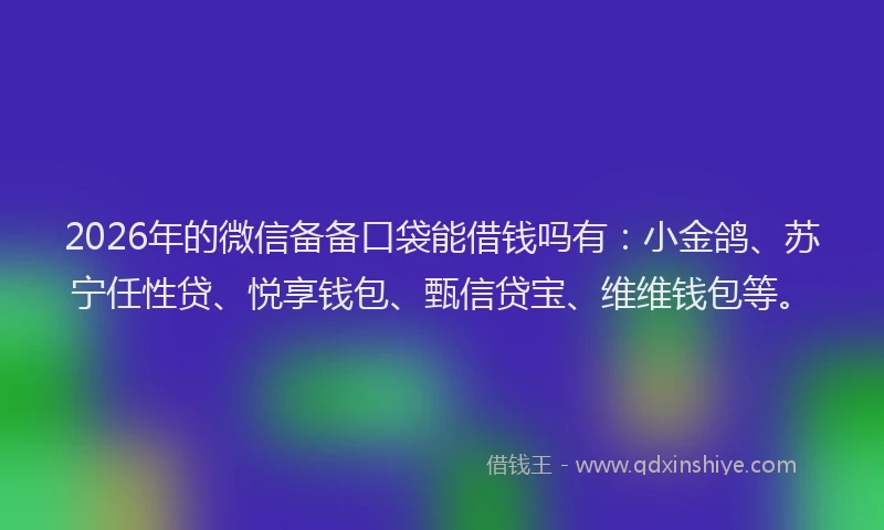 2026年的微信备备口袋能借钱吗有：小金鸽、苏宁任性贷、悦享钱包、甄信贷宝、维维钱包等。