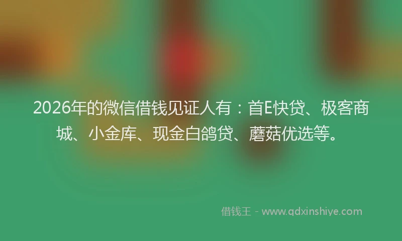 2026年的微信借钱见证人有：首E快贷、极客商城、小金库、现金白鸽贷、蘑菇优选等。