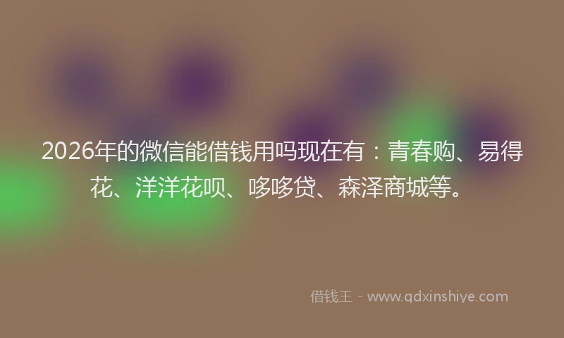 2026年的微信能借钱用吗现在有：青春购、易得花、洋洋花呗、哆哆贷、森泽商城等。