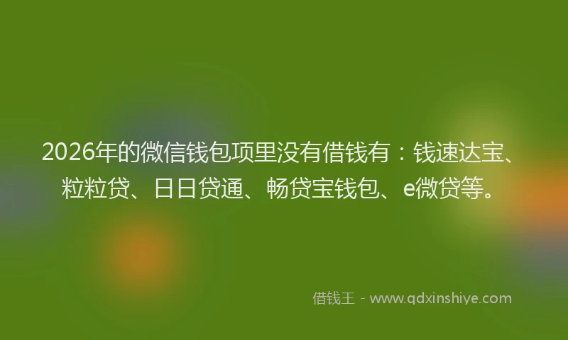 2026年的微信钱包项里没有借钱有：钱速达宝、粒粒贷、日日贷通、畅贷宝钱包、e微贷等。
