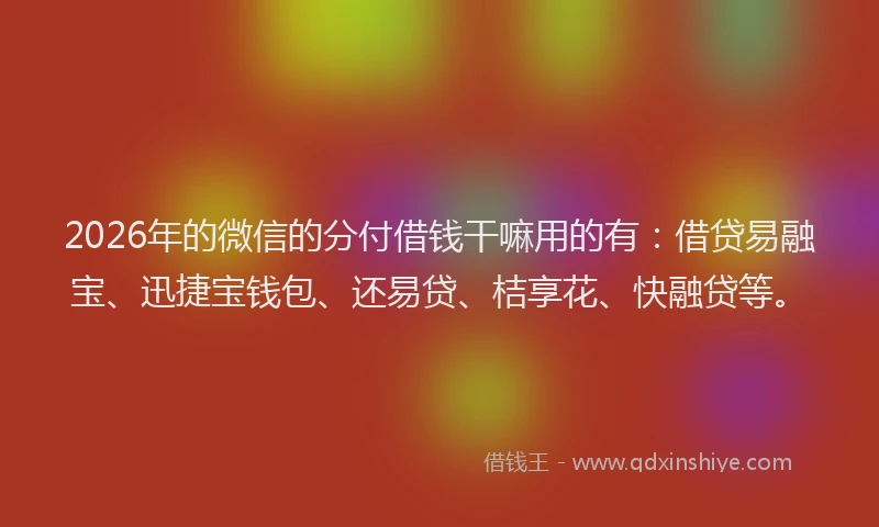 2026年的微信的分付借钱干嘛用的有：借贷易融宝、迅捷宝钱包、还易贷、桔享花、快融贷等。