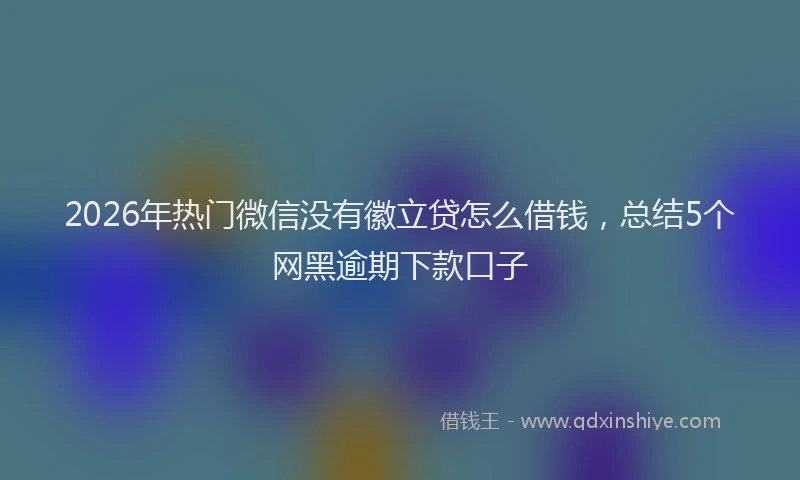 2026年热门微信没有徽立贷怎么借钱，总结5个网黑逾期下款口子