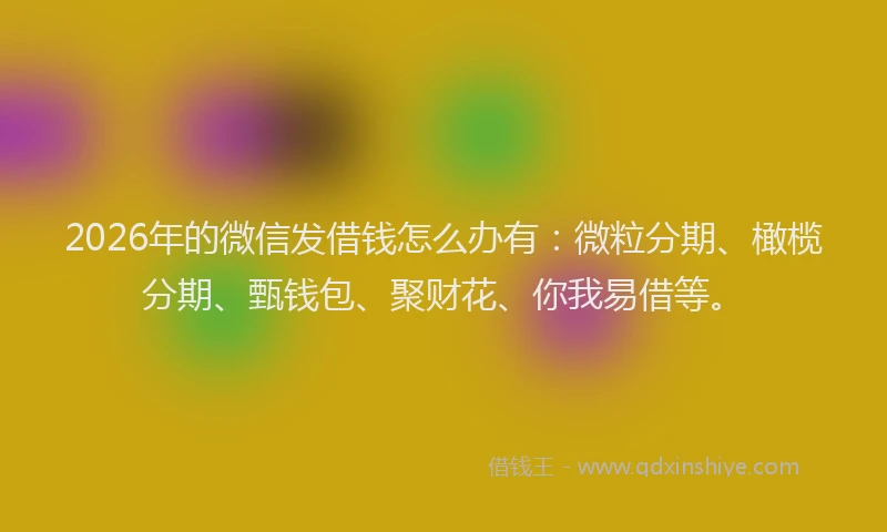 2026年的微信发借钱怎么办有：微粒分期、橄榄分期、甄钱包、聚财花、你我易借等。