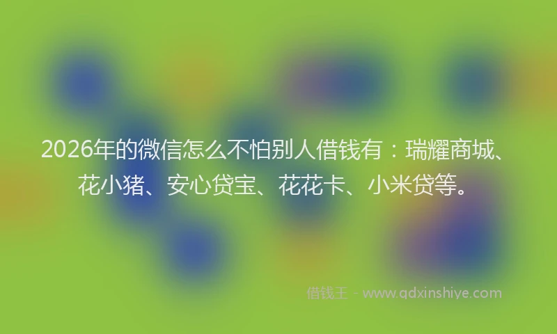 2026年的微信怎么不怕别人借钱有:瑞耀商城、花小猪、安心贷宝、花花卡、小米贷等。