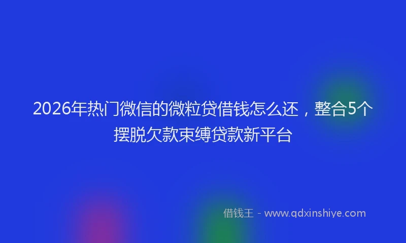 2026年热门微信的微粒贷借钱怎么还，整合5个摆脱欠款束缚贷款新平台