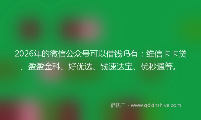 2026年的微信公众号可以借钱吗有:维信卡卡贷、盈盈金科、好优选、钱速达宝、优秒通等。