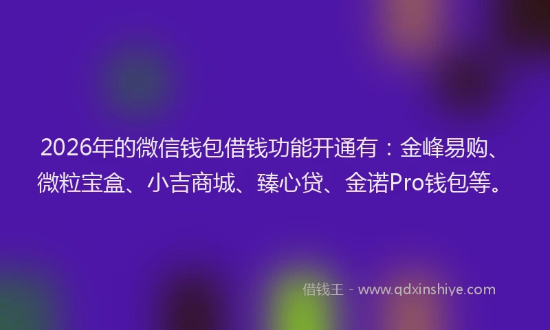 2026年的微信钱包借钱功能开通有：金峰易购、微粒宝盒、小吉商城、臻心贷、金诺Pro钱包等。