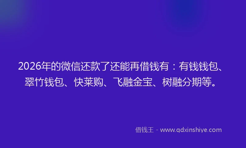 2026年的微信还款了还能再借钱有:有钱钱包、翠竹钱包、快莱购、飞融金宝、树融分期等。