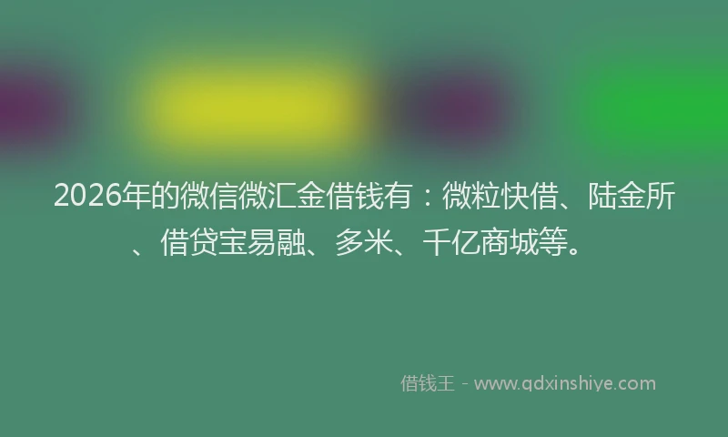 2026年的微信微汇金借钱有：微粒快借、陆金所、借贷宝易融、多米、千亿商城等。