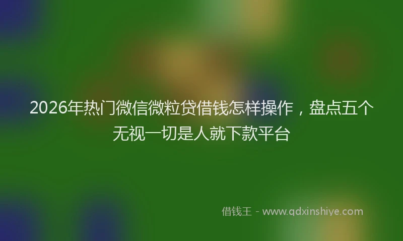 2026年热门微信微粒贷借钱怎样操作，盘点五个无视一切是人就下款平台