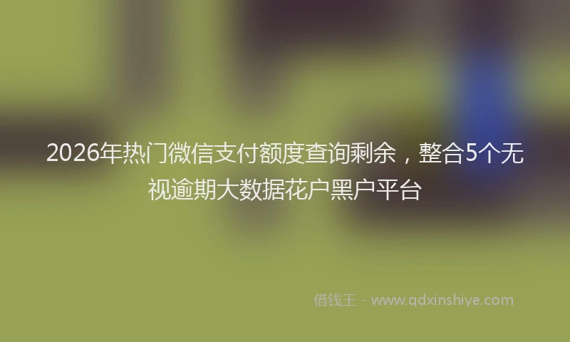 2026年热门微信支付额度查询剩余，整合5个无视逾期大数据花户黑户平台