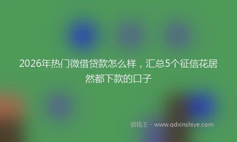 2026年热门微借贷款怎么样，汇总5个征信花居然都下款的口子