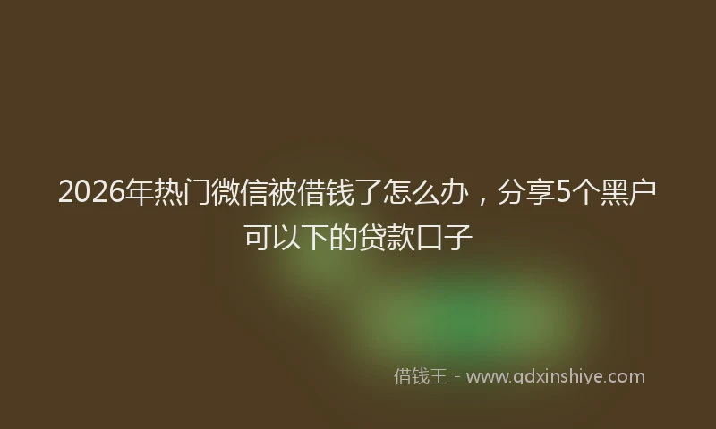2026年热门微信被借钱了怎么办,分享5个黑户可以下的贷款口子