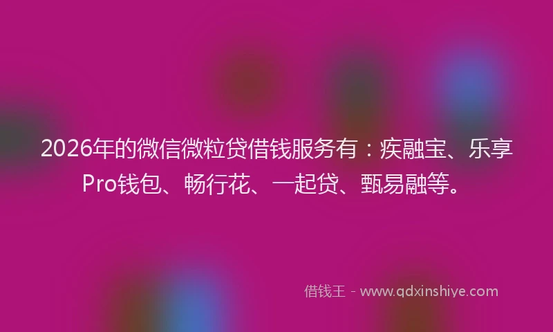 2026年的微信微粒贷借钱服务有：疾融宝、乐享Pro钱包、畅行花、一起贷、甄易融等。