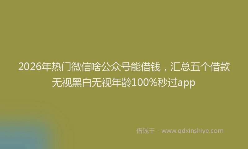 2026年热门微信啥公众号能借钱，汇总五个借款无视黑白无视年龄100%秒过app