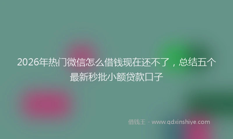 2026年热门微信怎么借钱现在还不了，总结五个最新秒批小额贷款口子