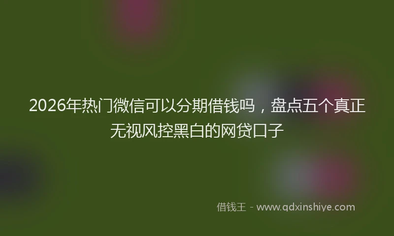 2026年热门微信可以分期借钱吗，盘点五个真正无视风控黑白的网贷口子