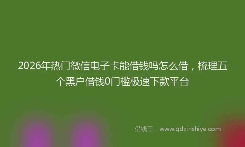 2026年热门微信电子卡能借钱吗怎么借，梳理五个黑户借钱0门槛极速下款平台