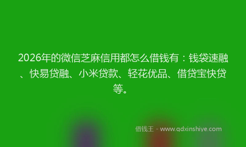 2026年的微信芝麻信用都怎么借钱有:钱袋速融、快易贷融、小米贷款、轻花优品、借贷宝快贷等。