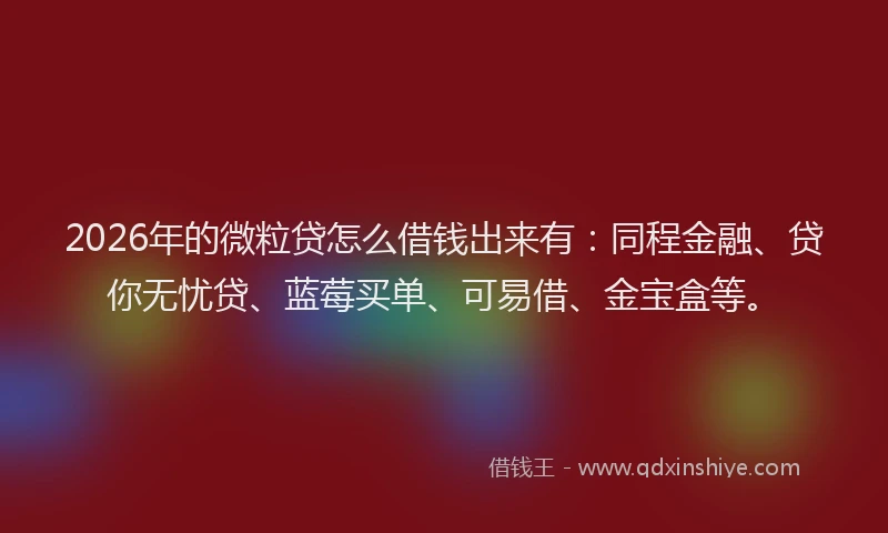 2026年的微粒贷怎么借钱出来有：同程金融、贷你无忧贷、蓝莓买单、可易借、金宝盒等。