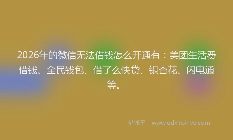 2026年的微信无法借钱怎么开通有：美团生活费借钱、全民钱包、借了么快贷、银杏花、闪电通等。