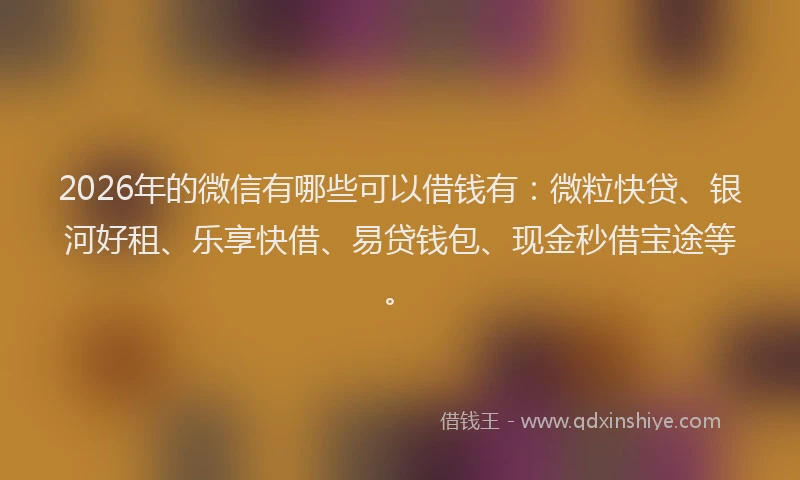 2026年的微信有哪些可以借钱有：微粒快贷、银河好租、乐享快借、易贷钱包、现金秒借宝途等。