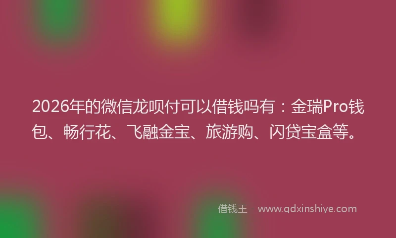 2026年的微信龙呗付可以借钱吗有：金瑞Pro钱包、畅行花、飞融金宝、旅游购、闪贷宝盒等。