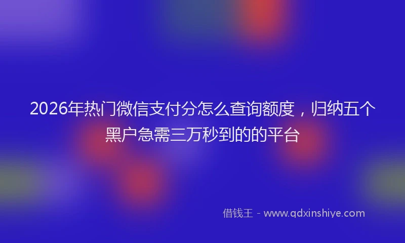 2026年热门微信支付分怎么查询额度,归纳五个黑户急需三万秒到的的平台