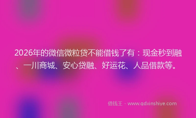 2026年的微信微粒贷不能借钱了有:现金秒到融、一川商城、安心贷融、好运花、人品借款等。