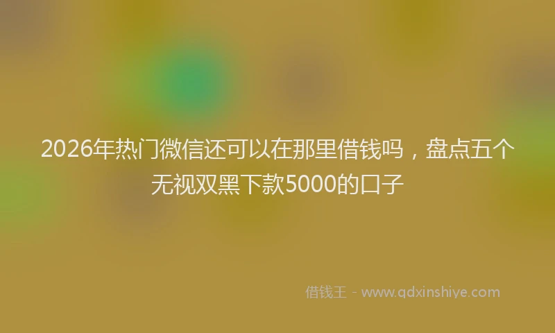 2026年热门微信还可以在那里借钱吗，盘点五个无视双黑下款5000的口子