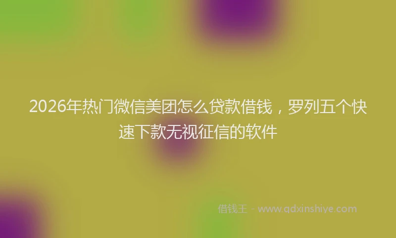 2026年热门微信美团怎么贷款借钱，罗列五个快速下款无视征信的软件