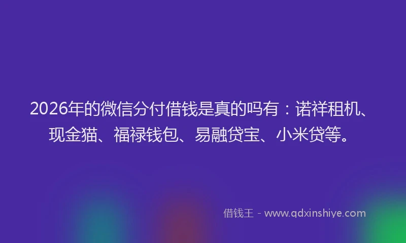 2026年的微信分付借钱是真的吗有：诺祥租机、现金猫、福禄钱包、易融贷宝、小米贷等。