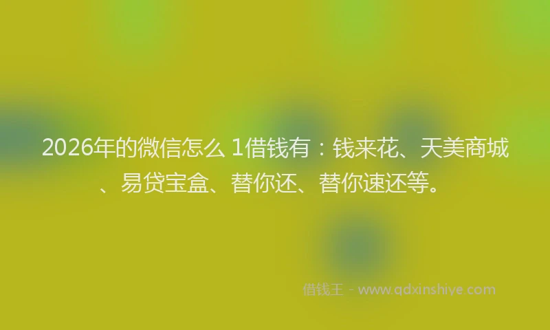 2026年的微信怎么 1借钱有：钱来花、天美商城、易贷宝盒、替你还、替你速还等。