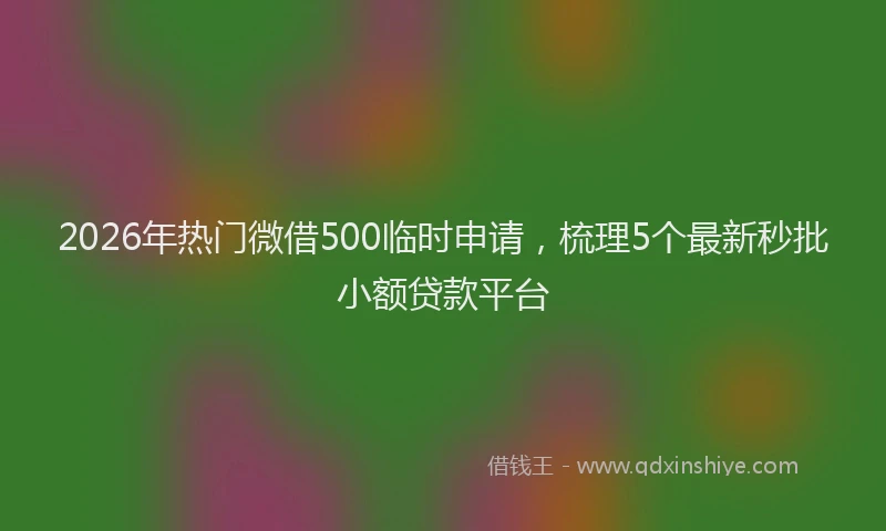 2026年热门微借500临时申请，梳理5个最新秒批小额贷款平台