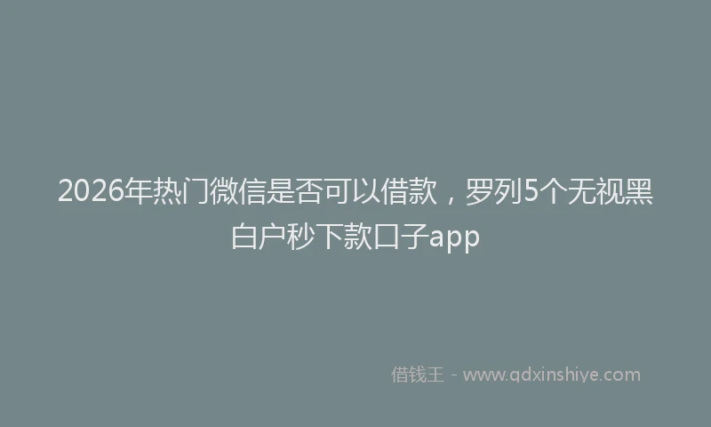 2026年热门微信是否可以借款，罗列5个无视黑白户秒下款口子app