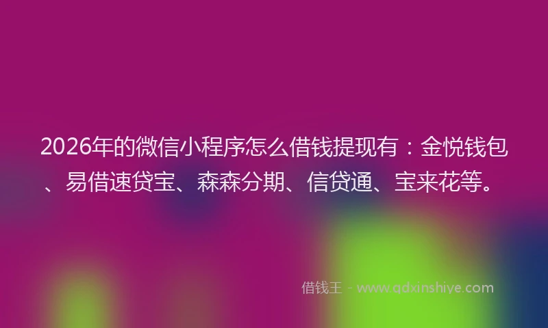 2026年的微信小程序怎么借钱提现有：金悦钱包、易借速贷宝、森森分期、信贷通、宝来花等。