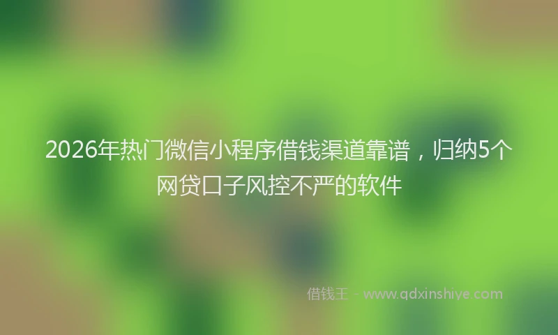 2026年热门微信小程序借钱渠道靠谱，归纳5个网贷口子风控不严的软件