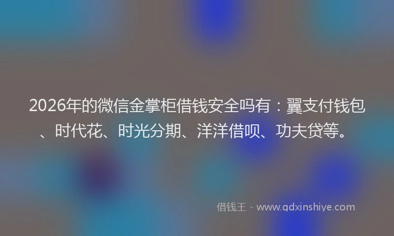2026年的微信金掌柜借钱安全吗有:翼支付钱包、时代花、时光分期、洋洋借呗、功夫贷等。