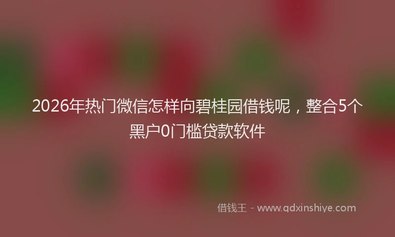 2026年热门微信怎样向碧桂园借钱呢，整合5个黑户0门槛贷款软件