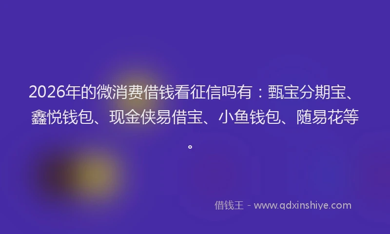 2026年的微消费借钱看征信吗有:甄宝分期宝、鑫悦钱包、现金侠易借宝、小鱼钱包、随易花等。