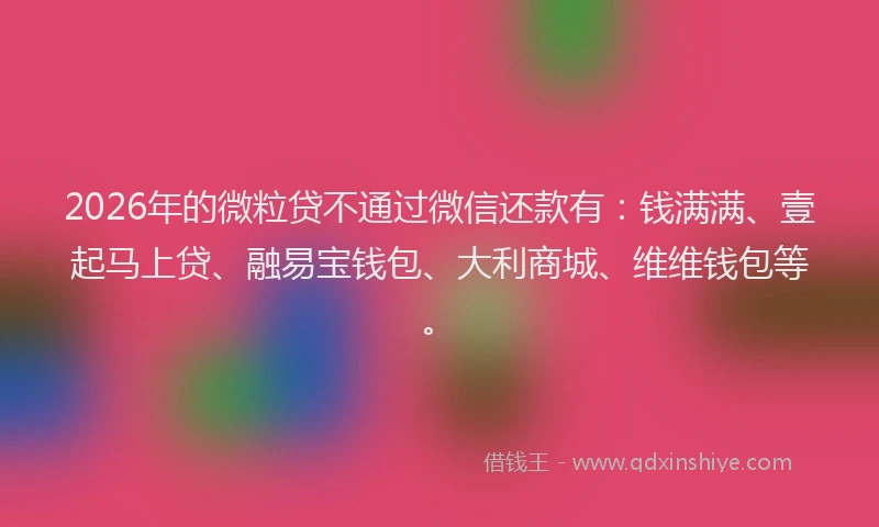 2026年的微粒贷不通过微信还款有：钱满满、壹起马上贷、融易宝钱包、大利商城、维维钱包等。