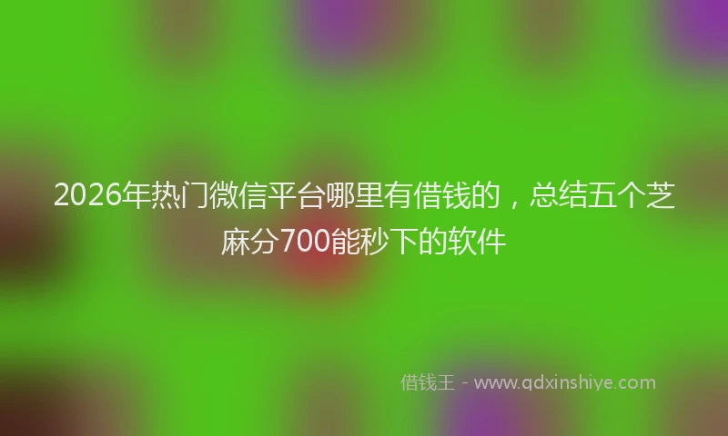 2026年热门微信平台哪里有借钱的，总结五个芝麻分700能秒下的软件