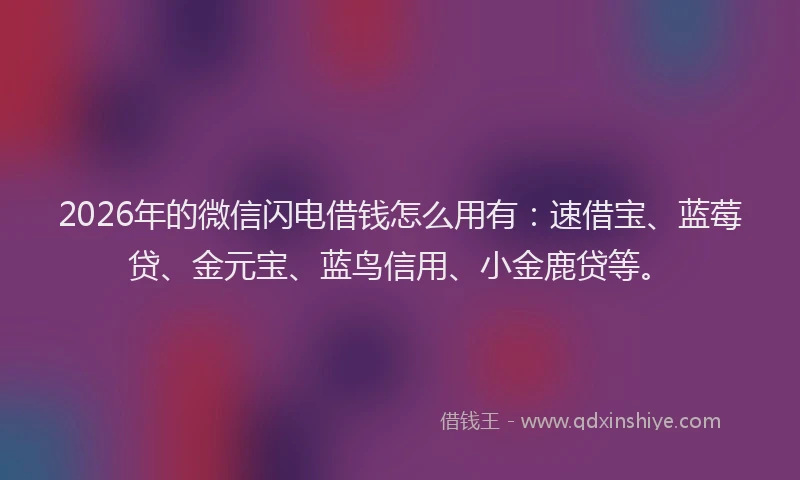 2026年的微信闪电借钱怎么用有：速借宝、蓝莓贷、金元宝、蓝鸟信用、小金鹿贷等。