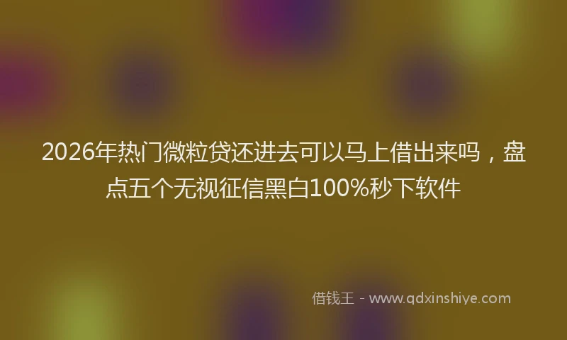 2026年热门微粒贷还进去可以马上借出来吗,盘点五个无视征信黑白100%秒下软件
